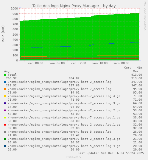 Taille des logs Nginx Proxy Manager