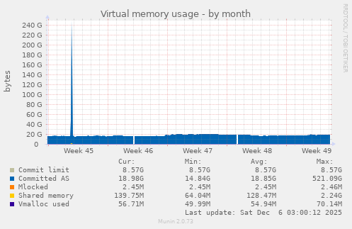 Virtual memory usage