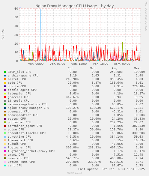 Nginx Proxy Manager CPU Usage